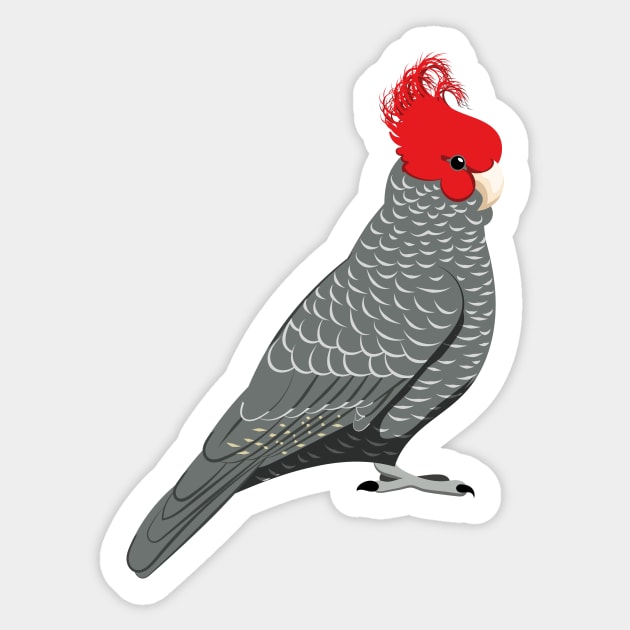 Gang gang cockatoo Sticker by Zolinstudio